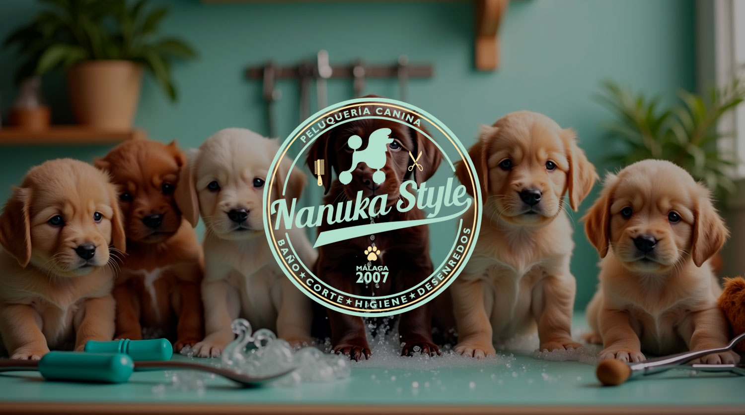 Peluquería Canina | Nauka Style